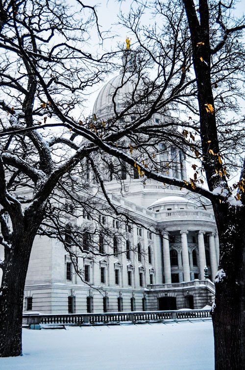 Madison-Capitol-Building-Through-Trees-On-Snow-Day