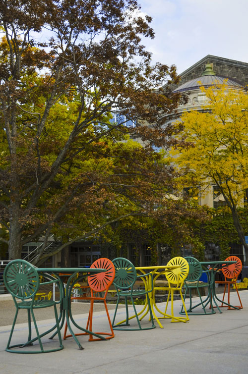 Madison-Memorial-Union-Sunburst-Chairs-Fall